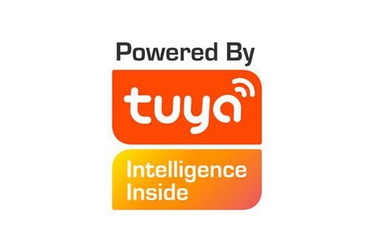 /service-tuya-iot.jpg